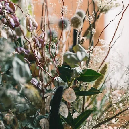 Kwieci Dom Gościnny Pensjonat Klopotnica