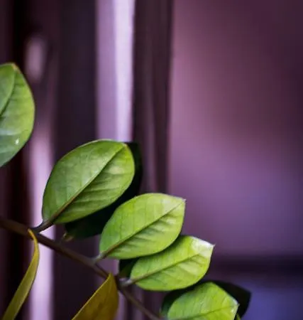 Pensjonat Kwieci Dom Gościnny