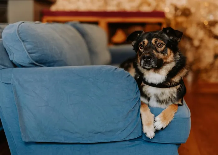 Pensjonat Kwieci Dom Gościnny