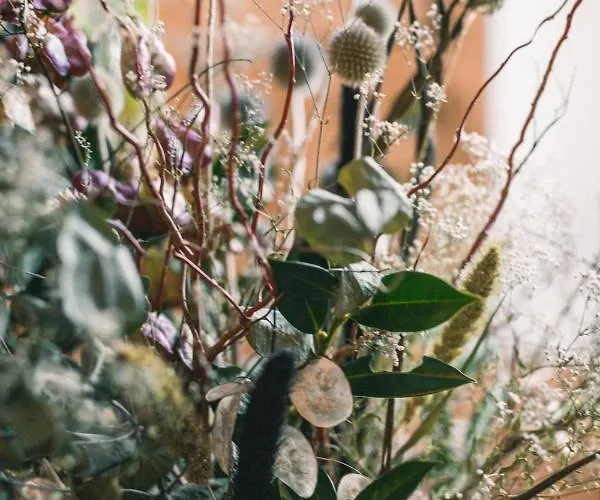 Kwieci Dom Gościnny Pensjonat Klopotnica