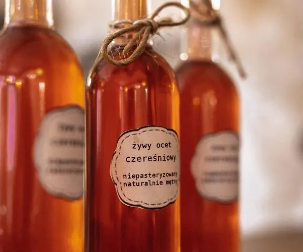 Pensjonat Kwieci Dom Gościnny Klopotnica